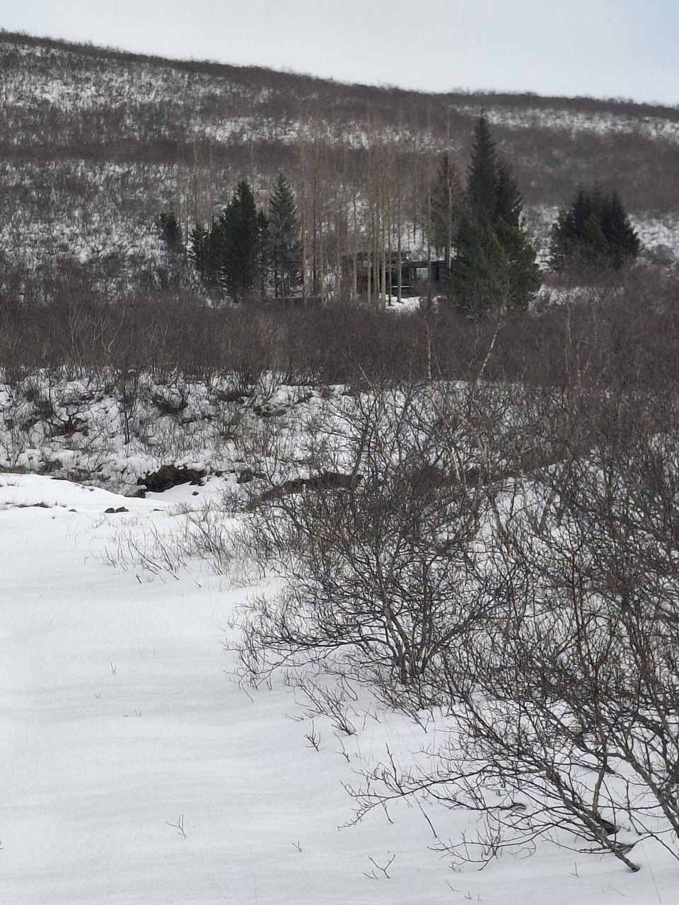 Íbúð – Selfoss, Bláskógabyggð - Mynd 5