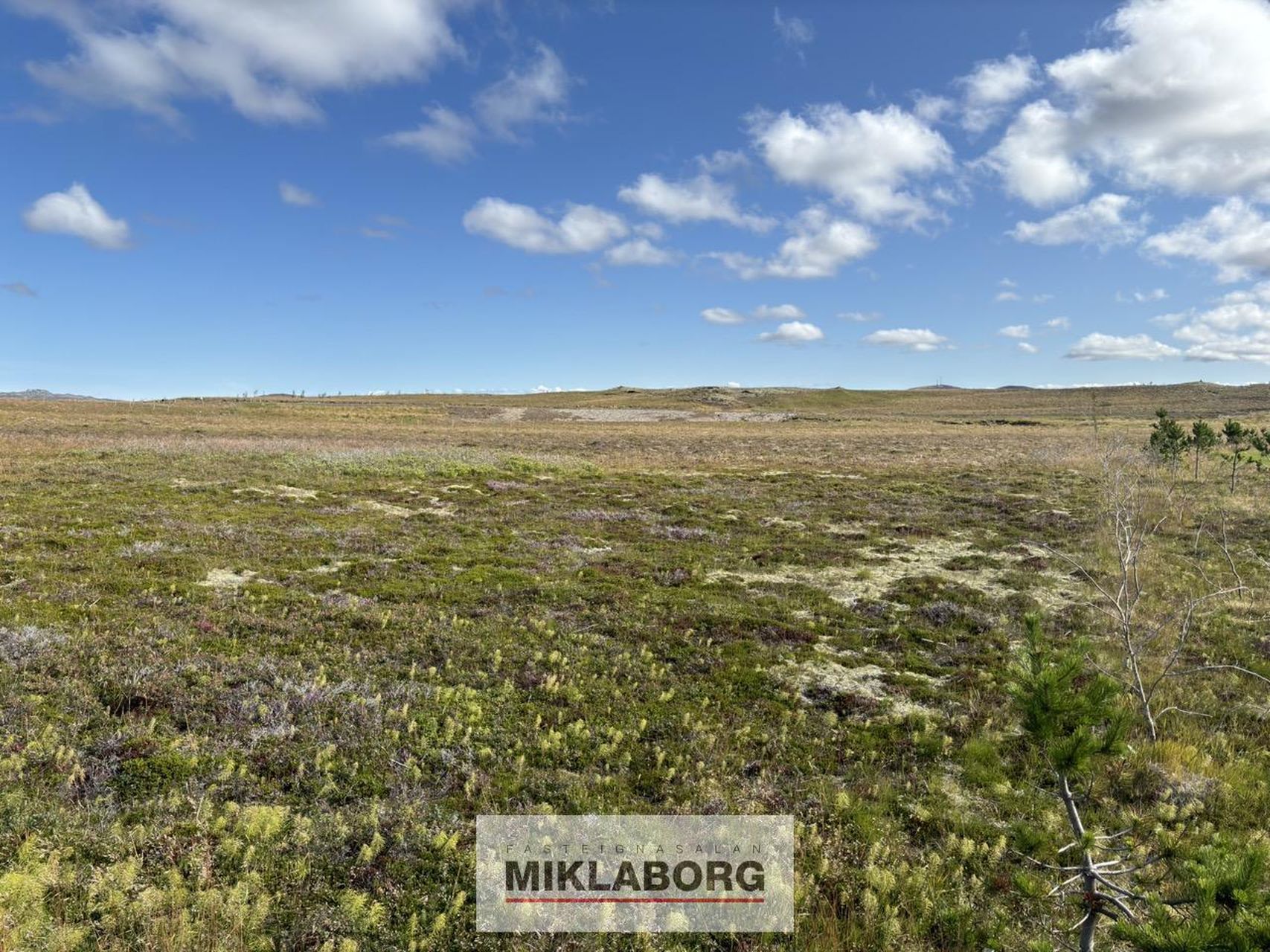Íbúð – Selfoss, Grímsnes- og Grafningshreppur - Mynd 3