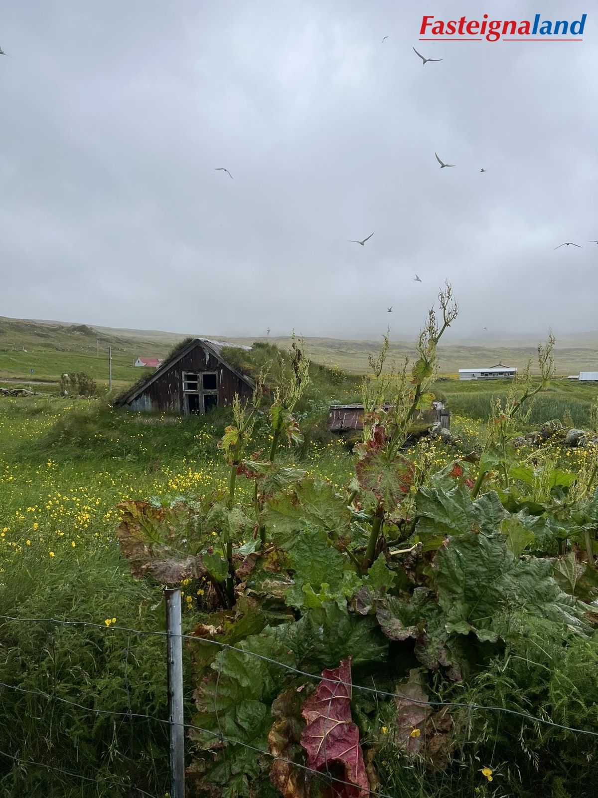 Íbúð - Ásgarður Hvallátrum 0 - View 6