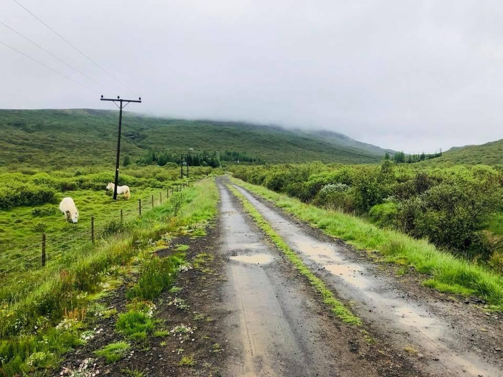 Íbúð – Selfoss, Bláskógabyggð - Mynd 4