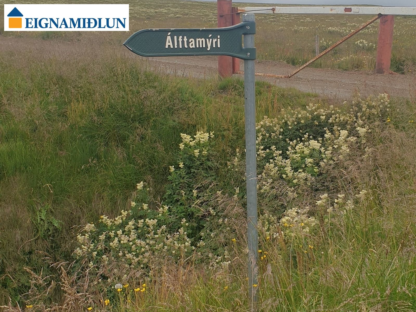 Lóð - Álftamýri 8 - stór lóð - More