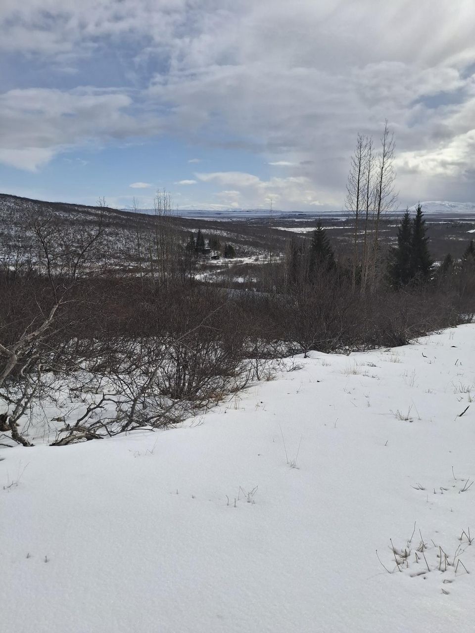 Íbúð – Selfoss, Bláskógabyggð - Meira